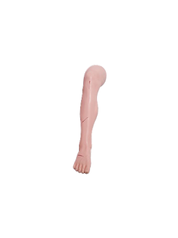 ADVANCED SURGICAL SUTURE LEG 